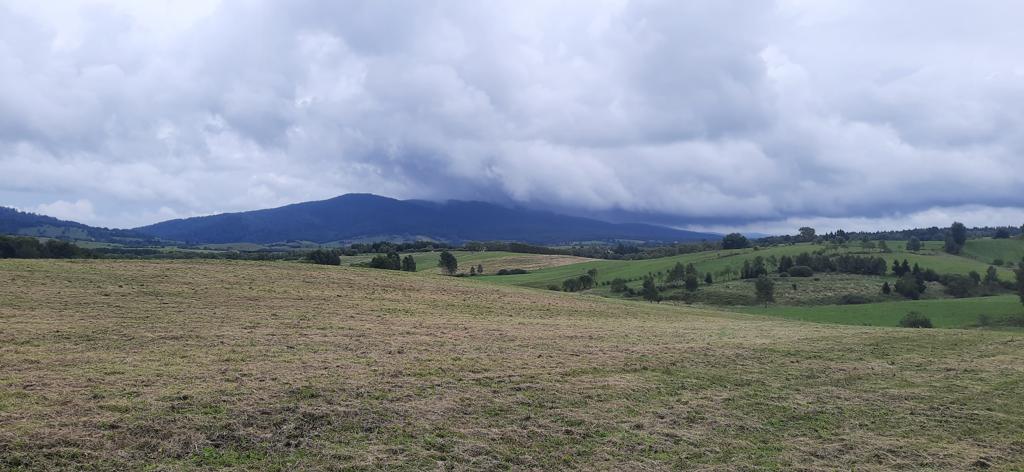 Bieszczady