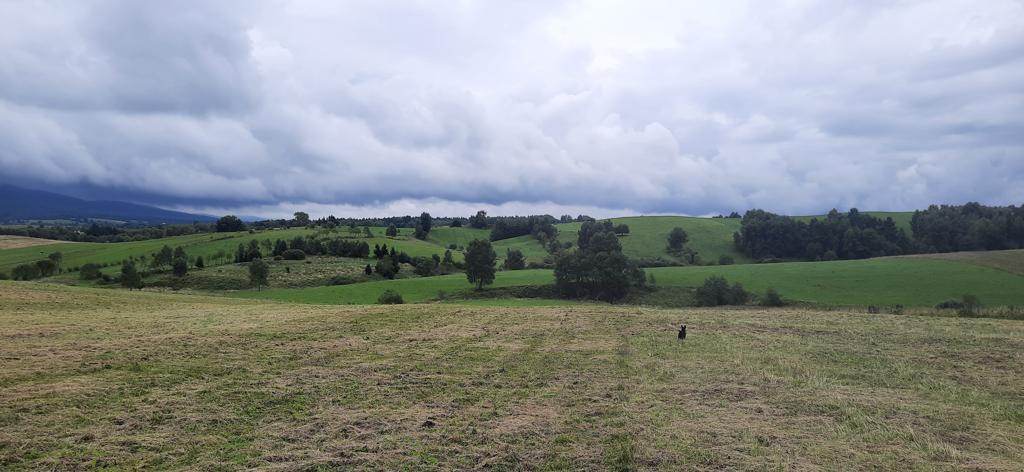 Bieszczady