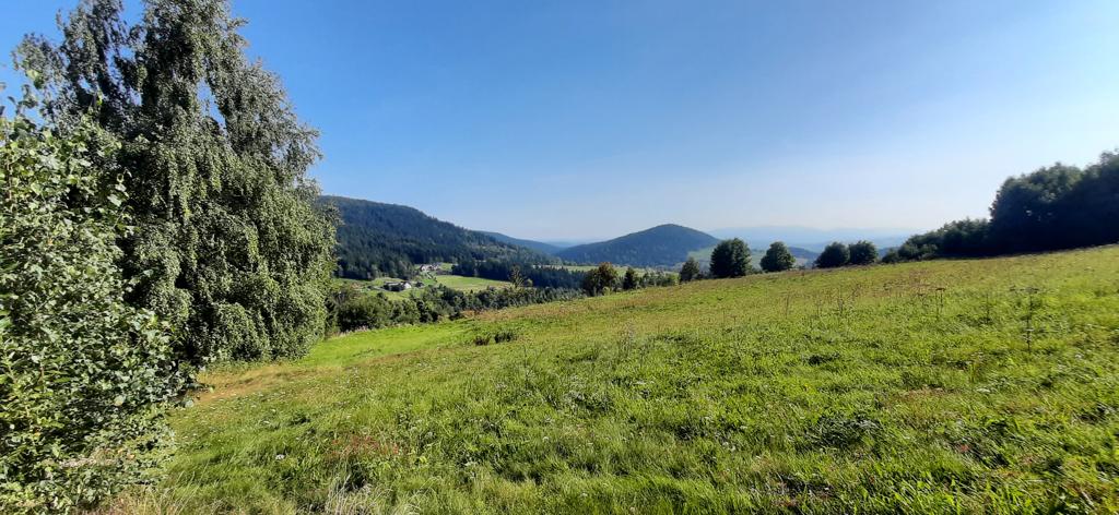 Beskid Wyspowy